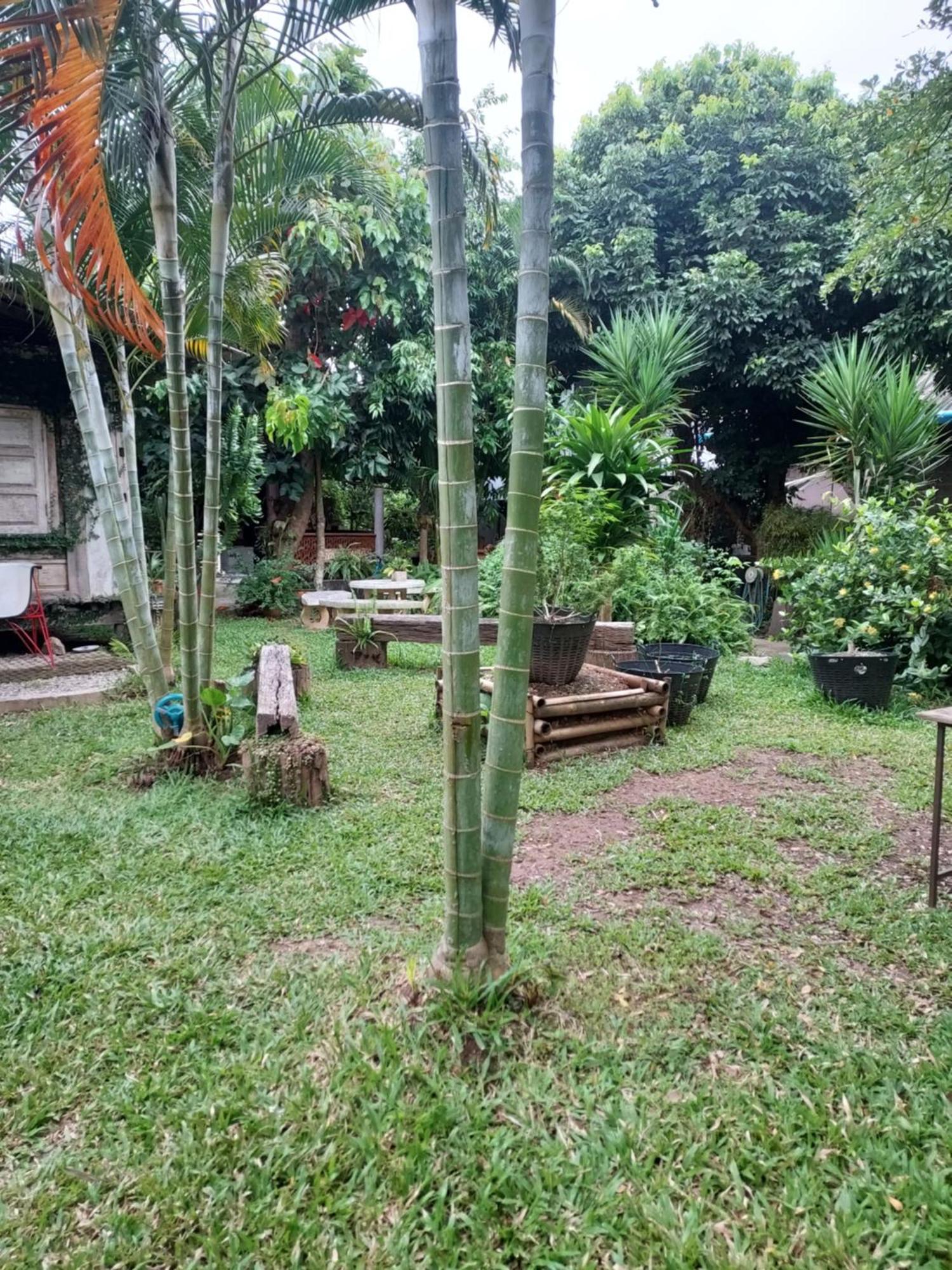 Kwanlah Homestay Mecsem Kültér fotó